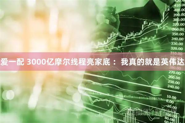 爱一配 3000亿摩尔线程亮家底 ：我真的就是英伟达